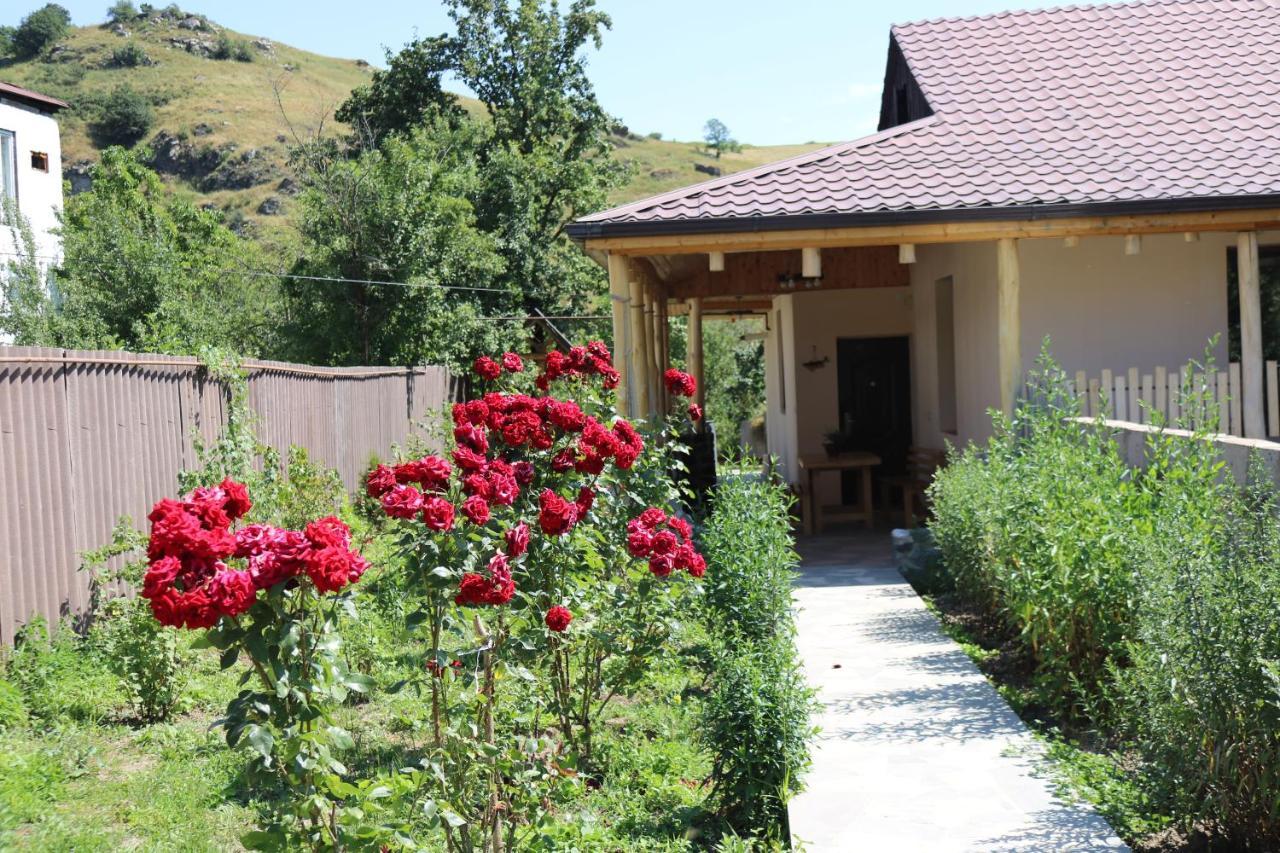 Villa Shamakhyan Dilidschan Exterior foto
